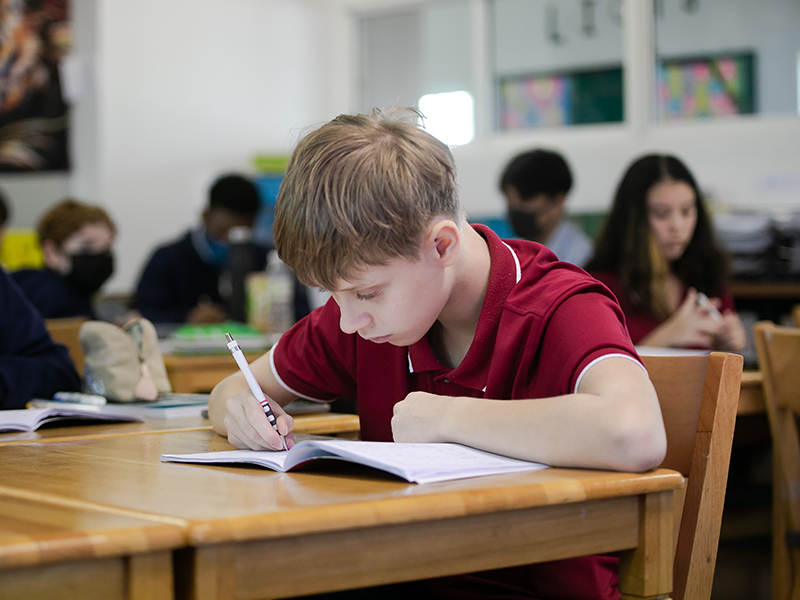Curriculum